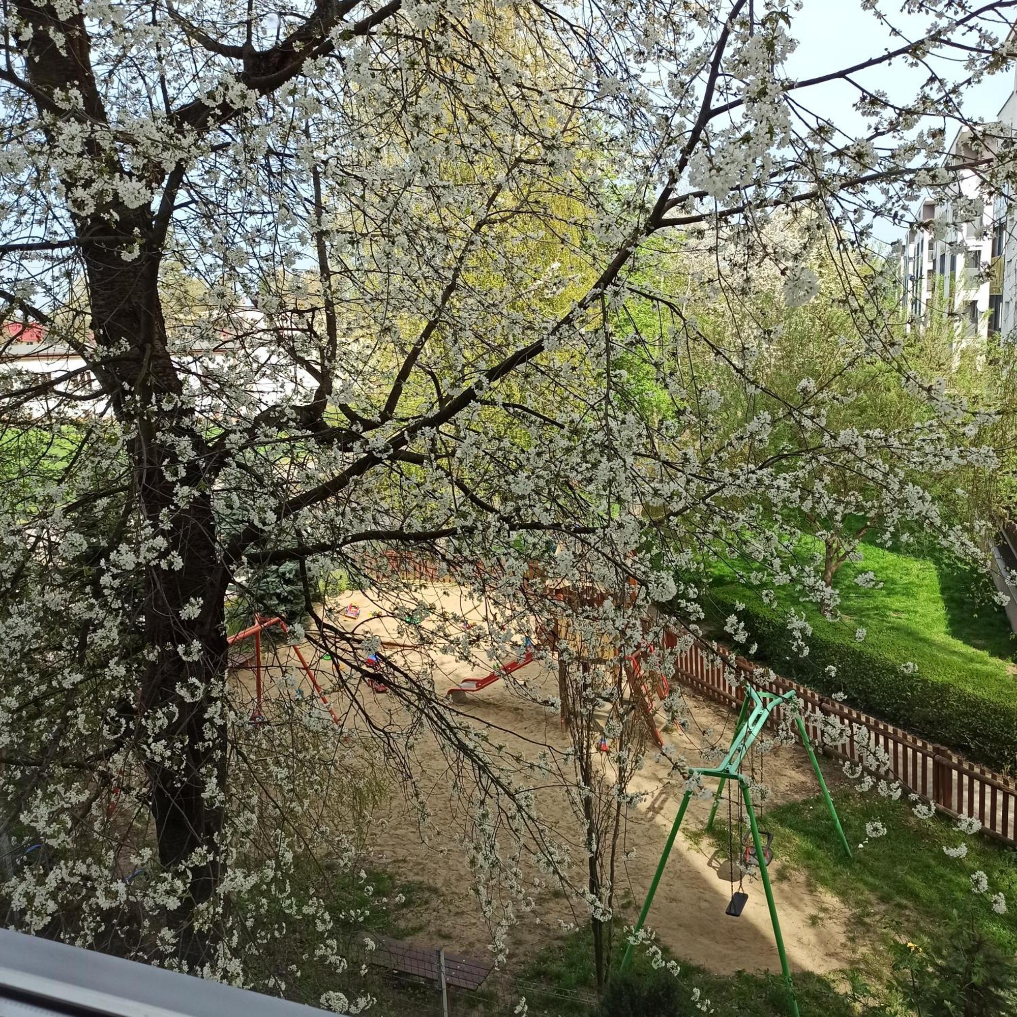 Apartament Dunikowskiego 57M2 لوبلين المظهر الخارجي الصورة